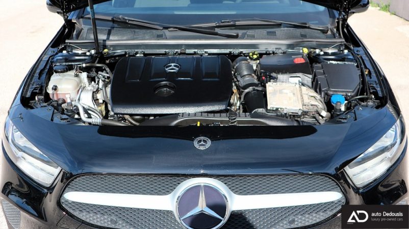 IMG_0038-ink_1024x575